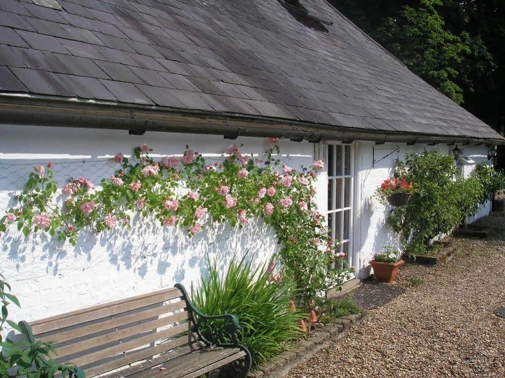 メードストン Detling Coachhouse Bed & Breakfast エクステリア 写真